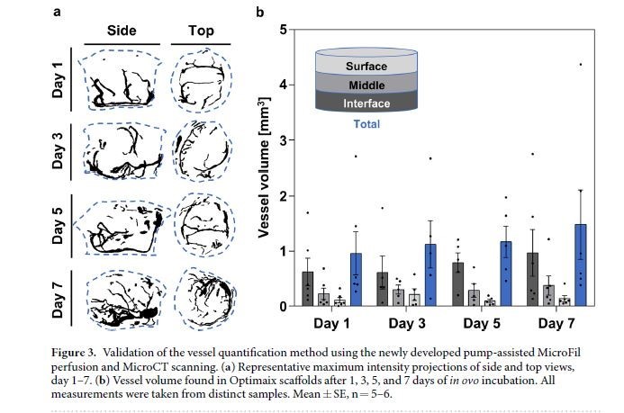 Novel multimodal MRI and Micro-CT imaging approach to quantify angiogenesis and 3D vascular architecture of biomaterials