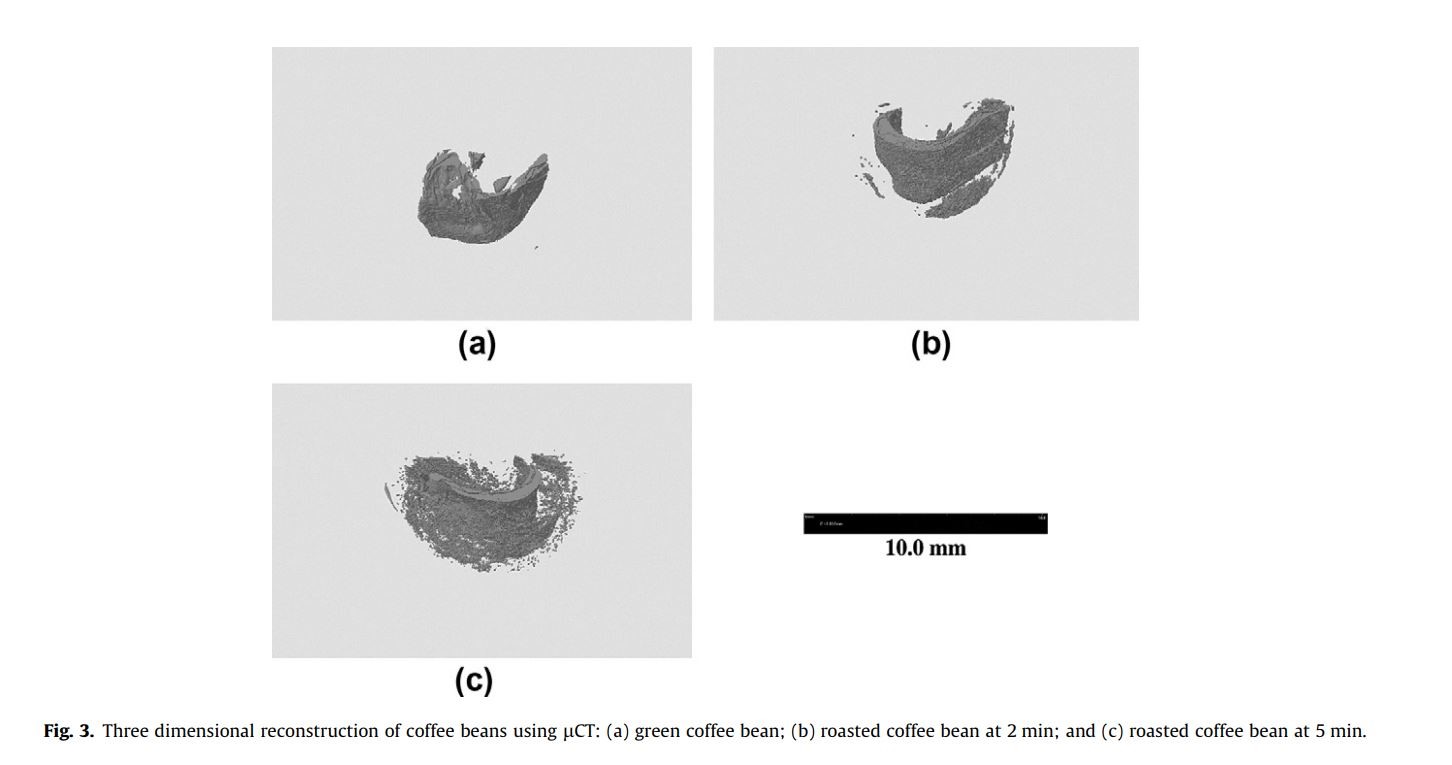 Coffea arabica beans microstructural changes induced by roasting: An X-ray microtomographic investigation