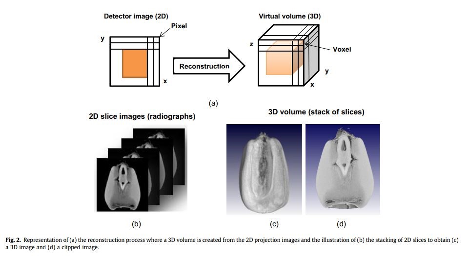 X-ray micro-Computed Tomography for Non-destructive Characterisation of Food Microstructure.