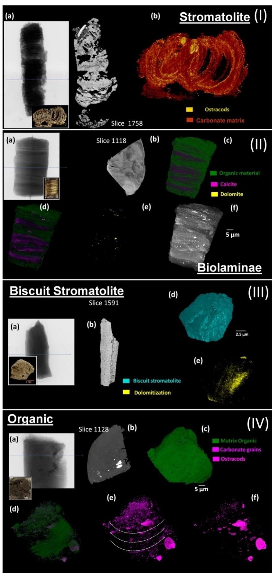 X-ray microtomography characterization of carbonate microbialites from a hypersaline coastal lagoon in the Rio de Janeiro State – Brazil