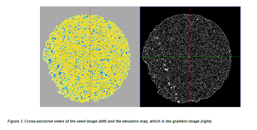 Analyzing Full Micro-CT Image of a Berea Sandstone Mini Plug and the Associated Challenges