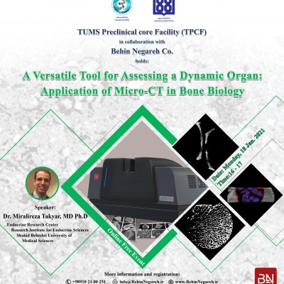 Applications of Micro-CT in Bone Biology Studies