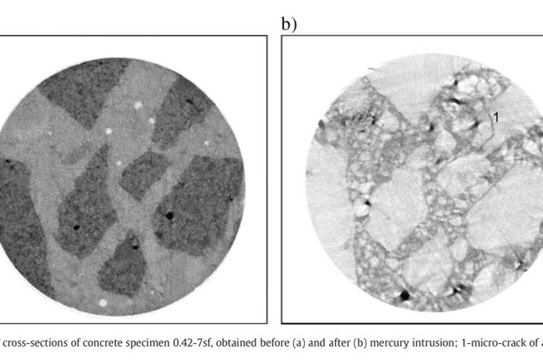 Porosity and microstructure characterization of building stones and concretes